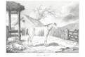 Kuň farma, mědiryt, (1820)
