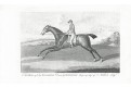 Kůň Lurcher, mědiryt, (1800