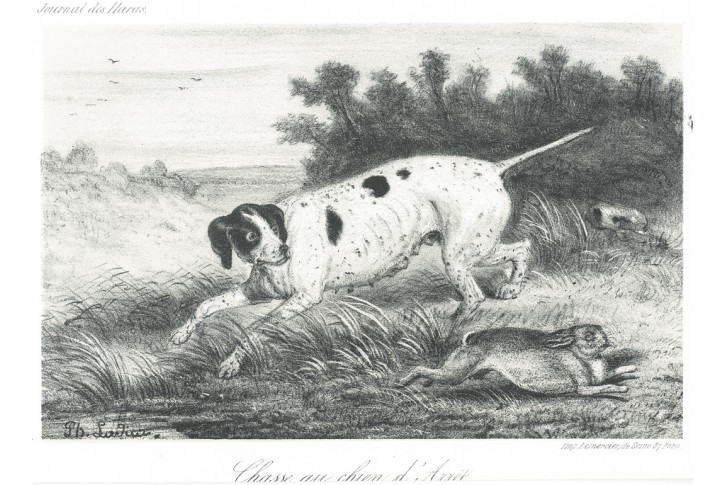 Pes Ohař, litografie, (1840)