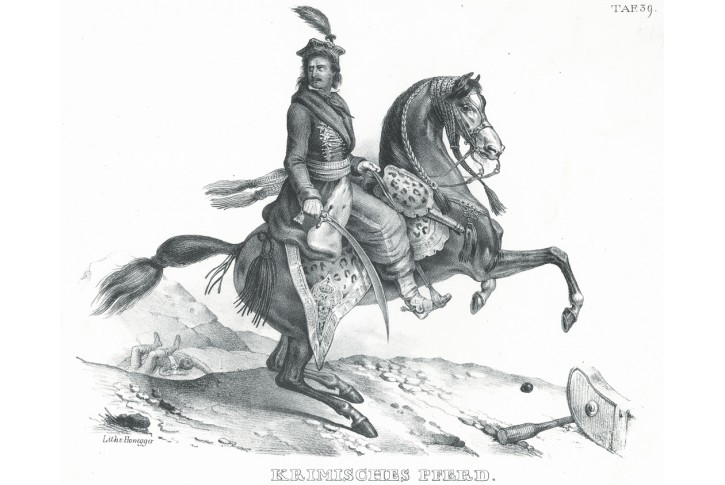 Kůň Krimský, Scheuzer, litografie, 1836