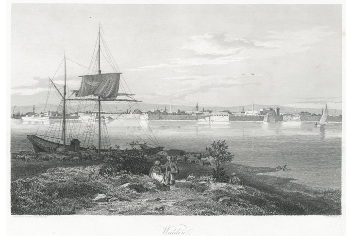 Vidin , Lloyd, oceloryt, 1855