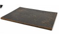 De Patenae et Calicis Consecratione, Regens., 1866