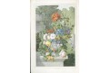 Schleiden : Die Pflanze und ihr Leben, Lpz., 1864