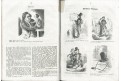 Illustrirter Dorfbarbier. Lpz., 1854