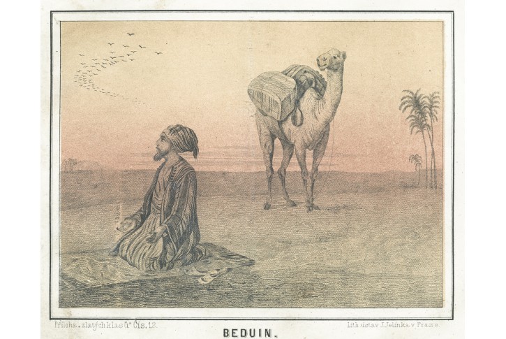 Beduin, Zlaté klasy, litografie, 1856