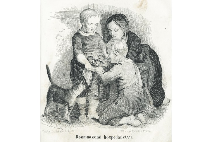 Koťátka, Zlaté klasy, litografie, 1856