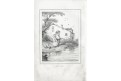 Rybáři malí, Zlaté klasy, litografie, 1856
