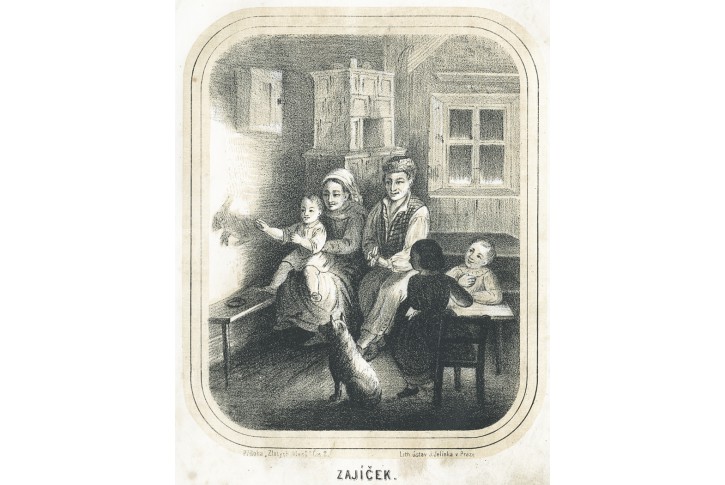 Stínohra zajíček, Zlaté klasy, litografie, 1856