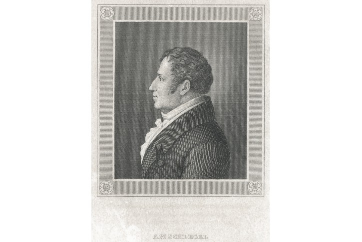 Schlegel AUGUST, oceloryt, (1850)