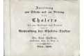 Bastler : Anleitung Rettung in Cholera, Wien, 1850