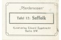 Kůň Suffolk, Schoenbeck,  chromolitogr., 1903