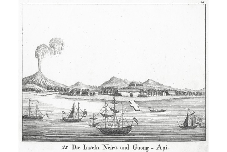 Moluky Neira, Neue Bildergal., litografie, 1837