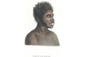 Austrálie domorodec, Allard, akvatinta, 1803