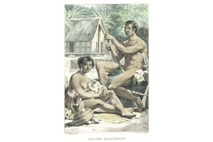 Austrálie Pelew, Allard, akvatinta, 1803