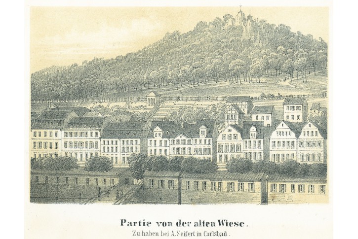 Karlovy Vary Wiese, Sandmann, litografie, 1846