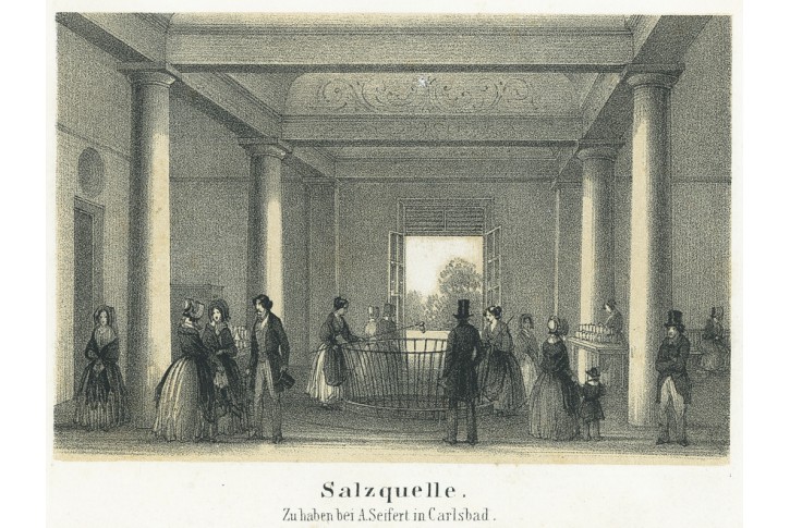 Františkovy lázně Salzquelle, litografie, (1860)