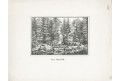 Hainfall - Podgórnej, Krkonoše, litografie, (1860)