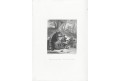 Lišák Ferina a zajíc, Payne, oceloryt, 1871