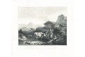 Alpy, Hanftaengl, litografie, 1849