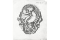 Porodnictví dítě 26., Steidele, mědiryt 1792