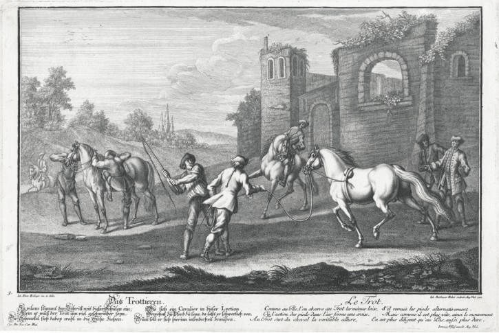 Ridinger - Probst : D Trottieren, mědiryt 1722