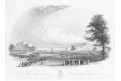 London Hyde Park, oceloryt 1851