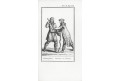Samojedi kroj, Blanchard, mědiryt, 1806