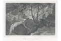 Amselfall, Rohbock, oceloryt 1870