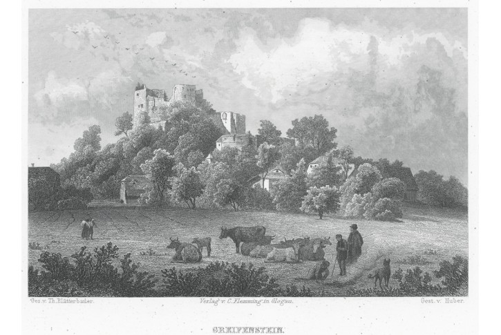 Gryf - Greiffenstein, oceloryt, 1885