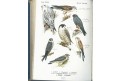 Floericke, K.: Vogelbuch, Stuttgaart, 1907