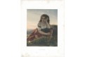 Cikánská dívka, chromolitografie, (1880)