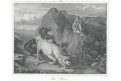 Lev koně, litografie, 1845