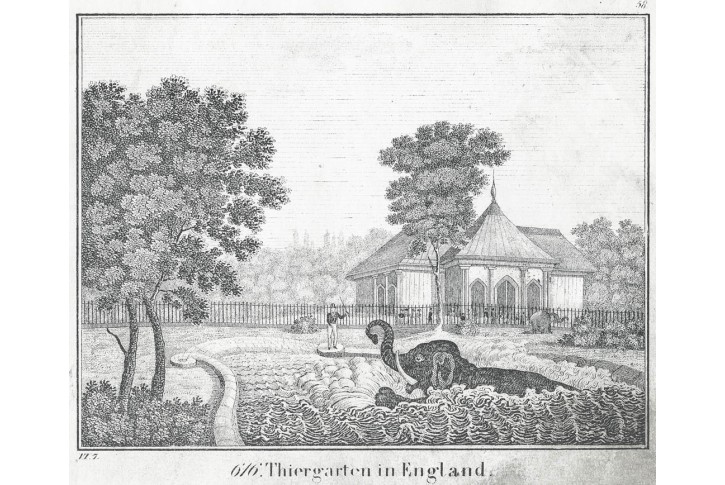 První Zoo Londýn, litografie,1837