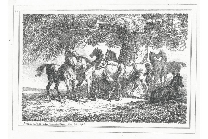 Koněi, Howit S.,  mědiryt, 1794