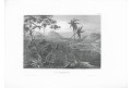 Nova Friburgo Brasilie, Meyer, oceloryt, 1850