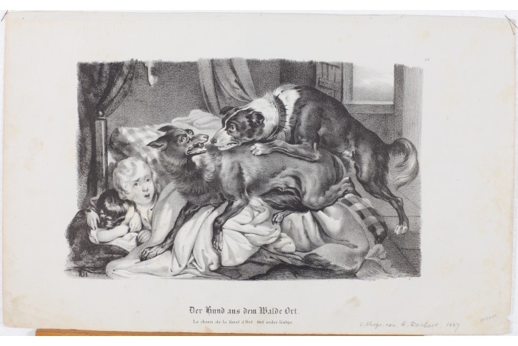 Psi, litografie, 1837