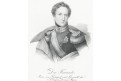 Don Fernardo princ,litografie, (1830)