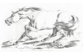 Kůň, Fuller, akvatinta, 1818