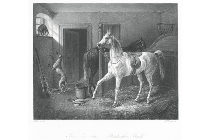 Kůň stáj, Payne, oceloryt, (1850)