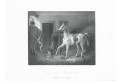 Kůň stáj, Payne, oceloryt, (1850)