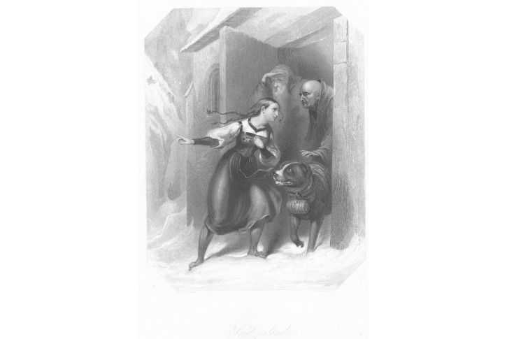 St. Bernard, Wilkinson, oceloryt 1843