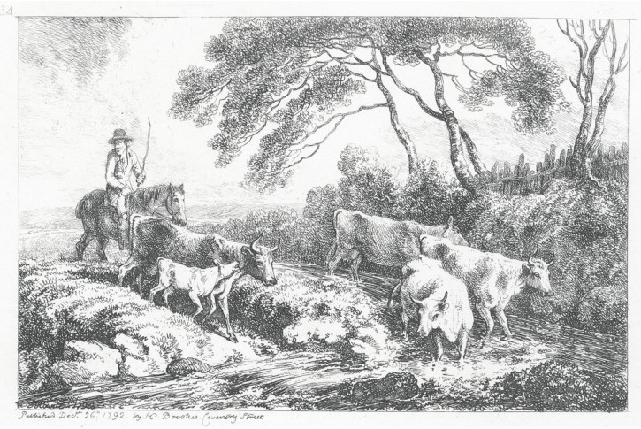 Dobytek brod, Howit,  mědiryt, 1792