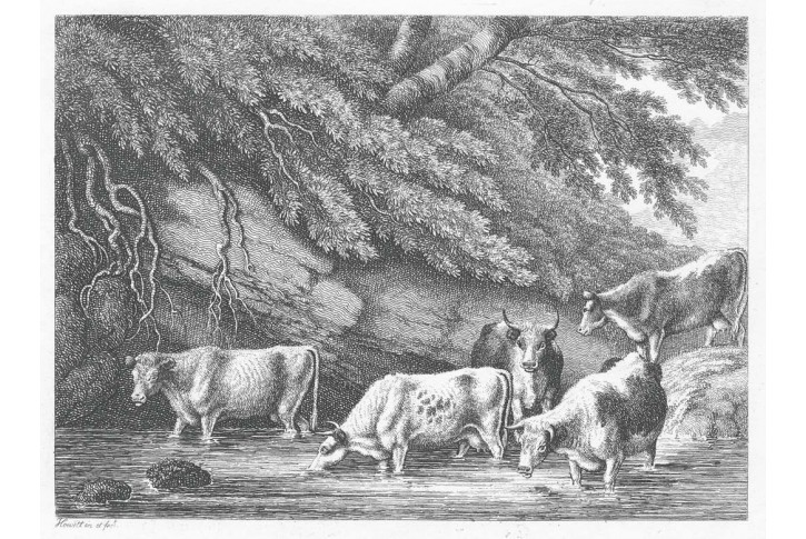 Dobytek napajedlo, Howit,  mědiryt, (1792)