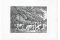 Dobytek napajedlo, Howit,  mědiryt, (1792)