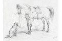 Kůň a pes, litografie, (1830)