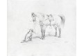 Kůň a pes, litografie, (1830)