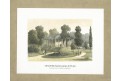 Cheb Sternfeld Gartensalon, litografie, (1860)