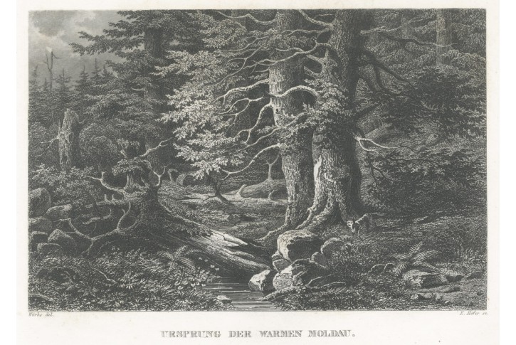 Pramen Vltavy Haase, oceloryt, (1840)