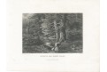 Pramen Vltavy Haase, oceloryt, (1840)