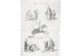 Egypt kroje, André, mědiryt, 1820